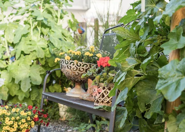 Gaestehaus Brugger Martin Гостевой дом Зёльден